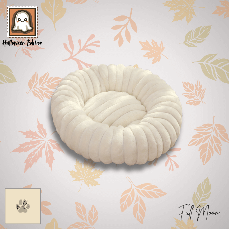 Pumpkin Patch Pod