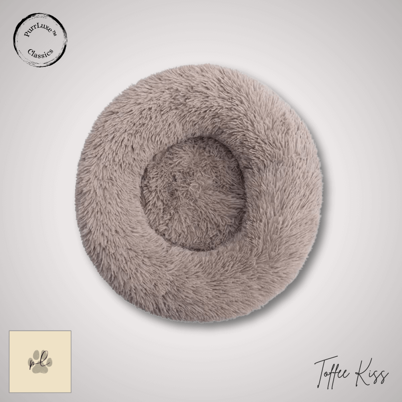 The Donut